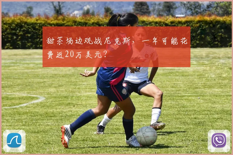 甜茶场边观战尼克斯，一年可能花费近20万美元？