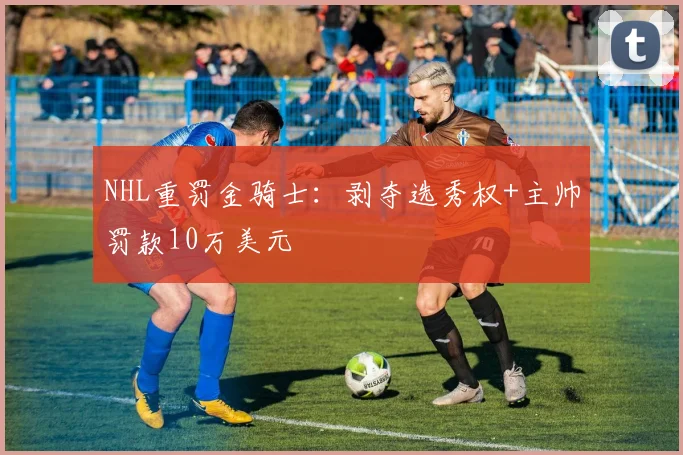 NHL重罚金骑士：剥夺选秀权+主帅罚款10万美元